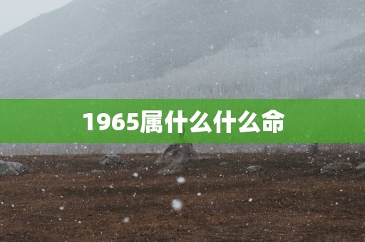 1965属什么什么命