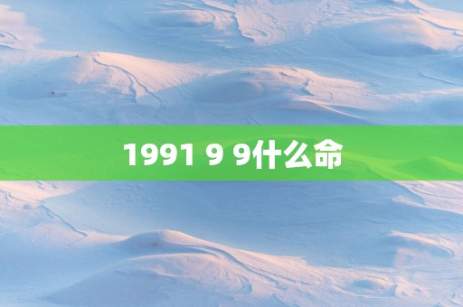 1991 9 9什么命