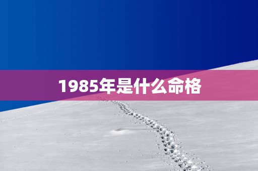 1985年是什么命格 1985年是什么命格