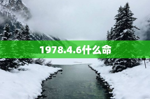 1978.4.6什么命
