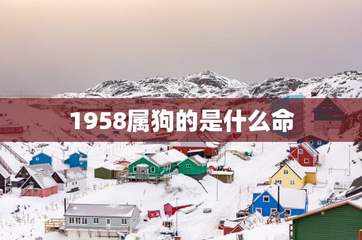 1958属狗的是什么命