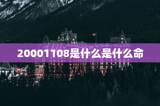 20001108是什么是什么命
