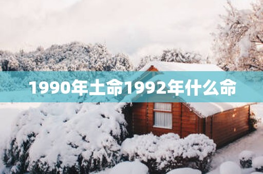 1990年土命1992年什么命