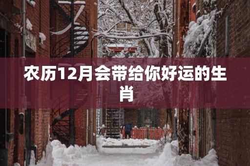 农历12月会带给你好运的生肖