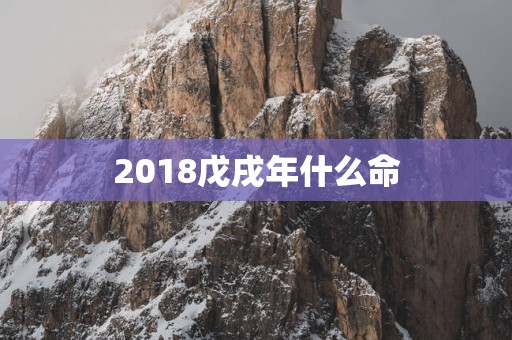 2018戊戌年什么命