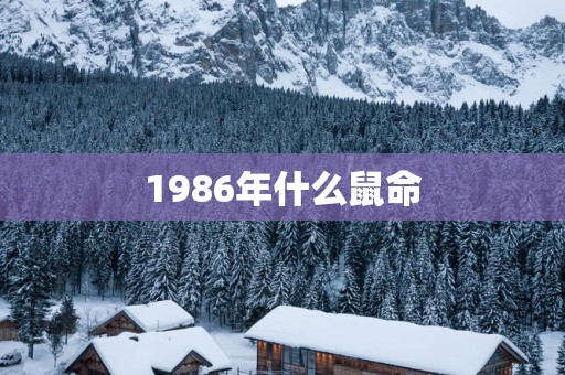 1986年什么鼠命