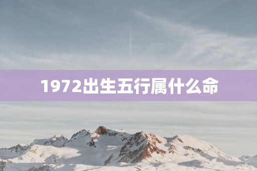 1972出生五行属什么命