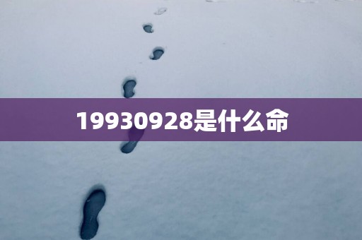19930928是什么命