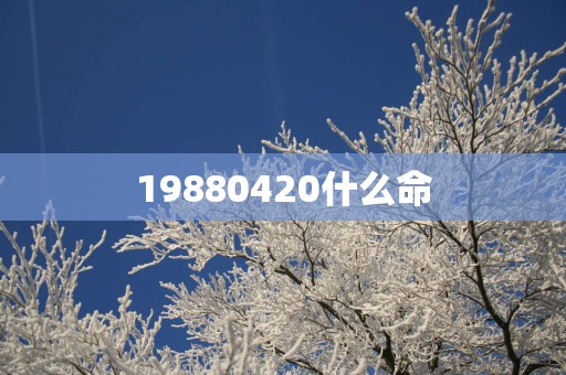 19880420什么命