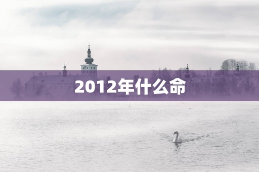 2012年什么命