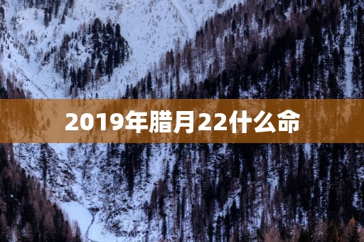 2019年腊月22什么命