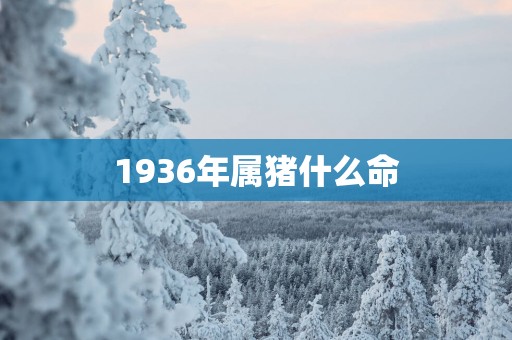 1936年属猪什么命