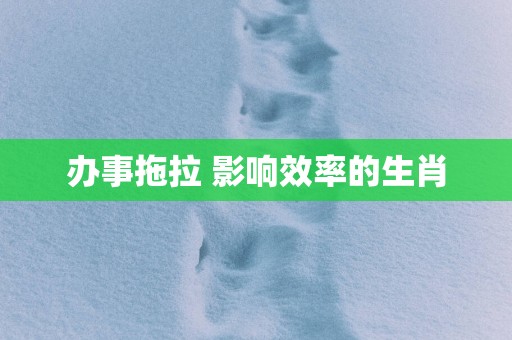办事拖拉 影响效率的生肖