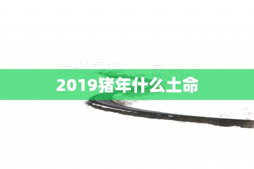 2019猪年什么土命