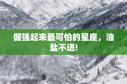 倔强起来最可怕的星座，油盐不进!