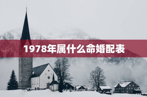 1978年属什么命婚配表