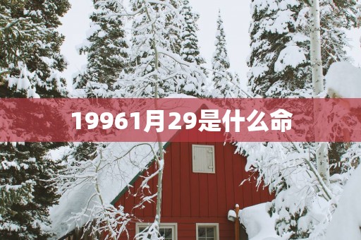 19961月29是什么命
