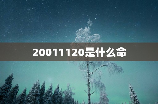 20011120是什么命