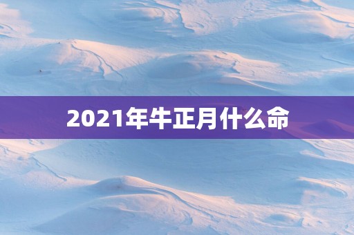 2025年牛正月什么命