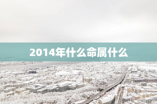 2014年什么命属什么