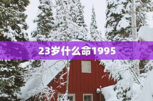 23岁什么命1995