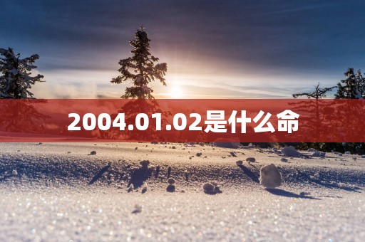 2004.01.02是什么命