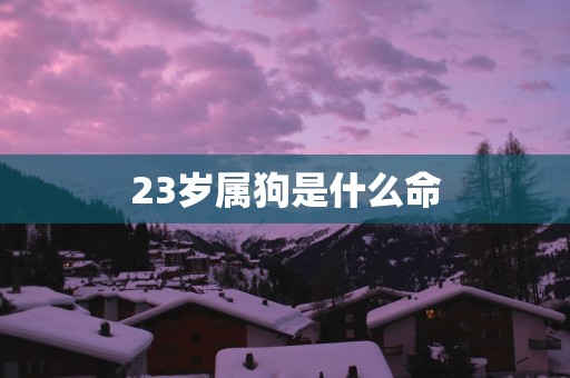 23岁属狗是什么命