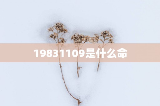 19831109是什么命