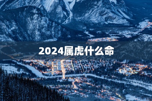 2025属虎什么命