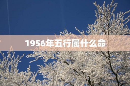 1956年五行属什么命