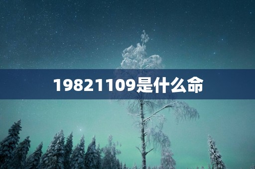 19821109是什么命