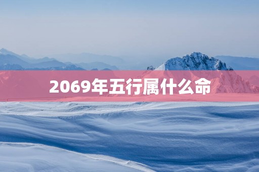 2069年五行属什么命