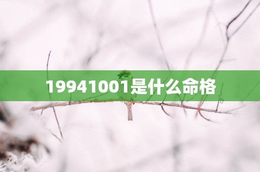 19941001是什么命格