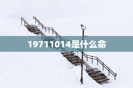 19711014是什么命