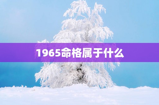 1965命格属于什么 1965命格属于什么