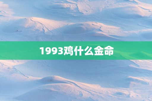 1993鸡什么金命