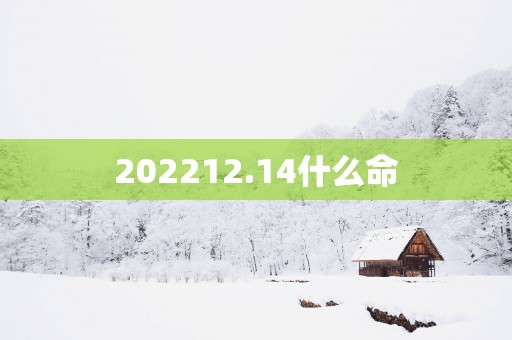 202512.14什么命