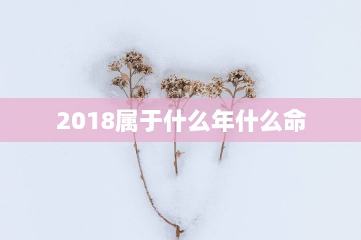 2018属于什么年什么命