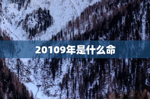 20109年是什么命