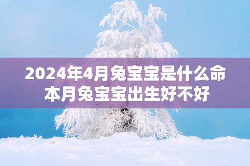 2025年4月兔宝宝是什么命 本月兔宝宝出生好不好