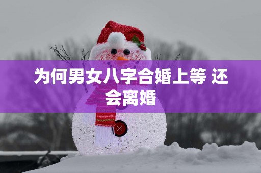 为何男女八字合婚上等 还会离婚