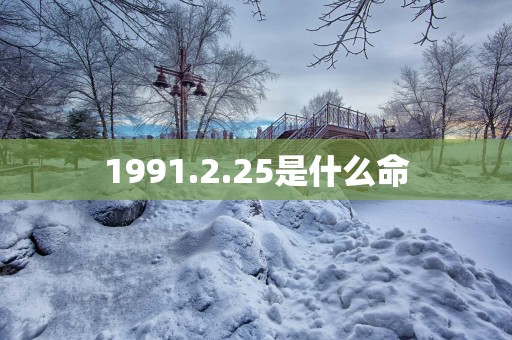 1991.2.25是什么命