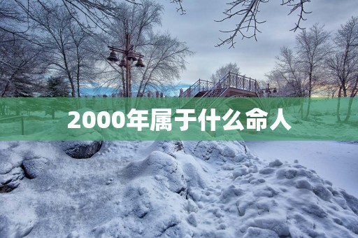 2000年属于什么命人