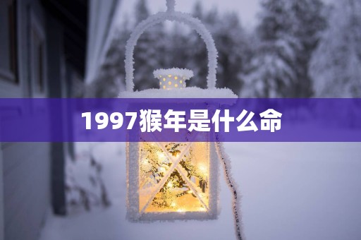 1997猴年是什么命