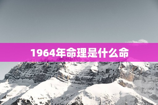 1964年命理是什么命