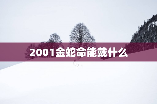 2001金蛇命能戴什么