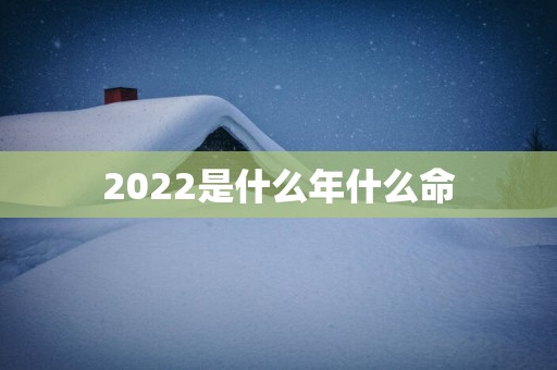 2025是什么年什么命