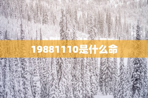 19881110是什么命