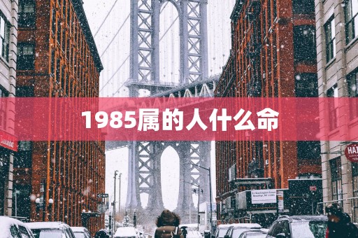 1985属的人什么命
