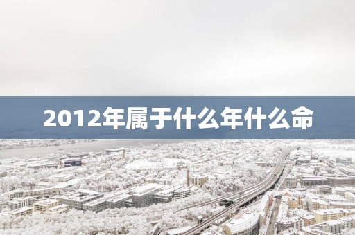 2012年属于什么年什么命